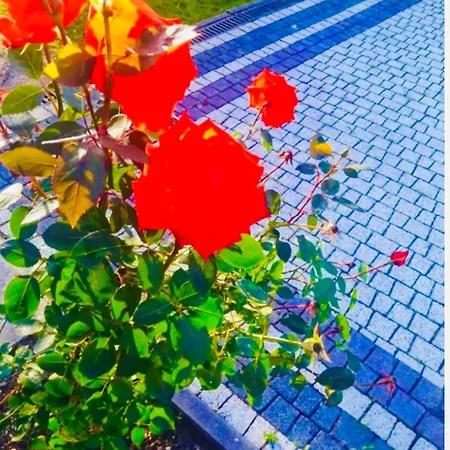 Karpatskyi Diamant 3* Yaremche